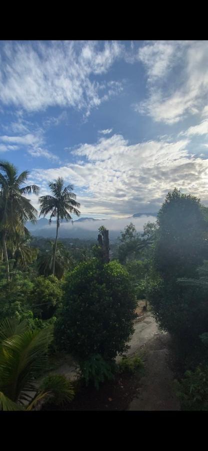 Pearl'S Homestay マータレー エクステリア 写真