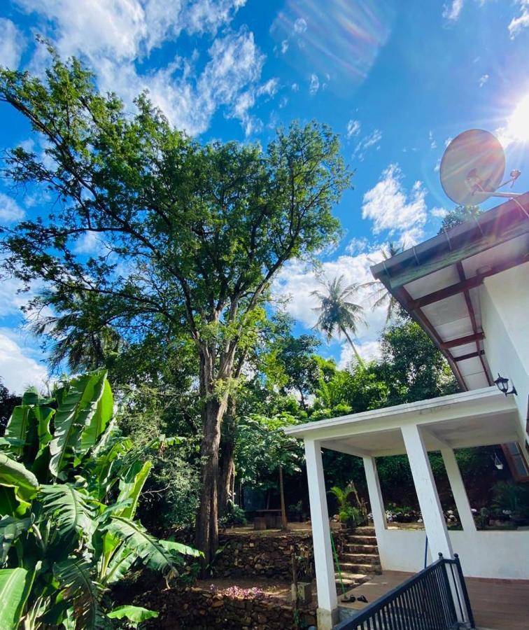 Pearl'S Homestay マータレー エクステリア 写真